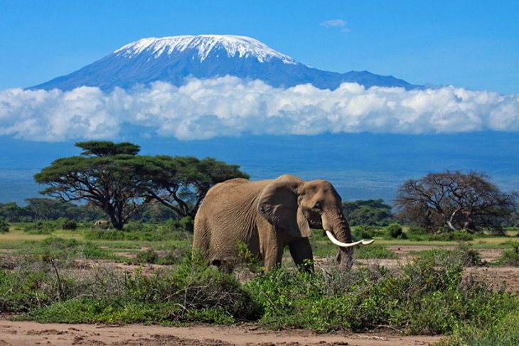 5 National Parks to Discover Tanzania